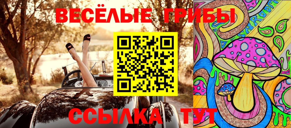 Галлюциногенные грибы Magic Shrooms  Вход с VPN  Галлюциногенные грибы мухоморы  Александров 