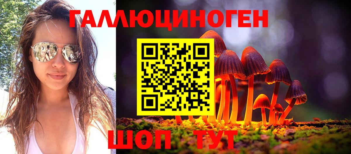 Галлюциногенные грибы Cubensis Александров